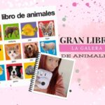 Te lo dije: una comedia romántica que te atrapará desde la primera palabra a la última.